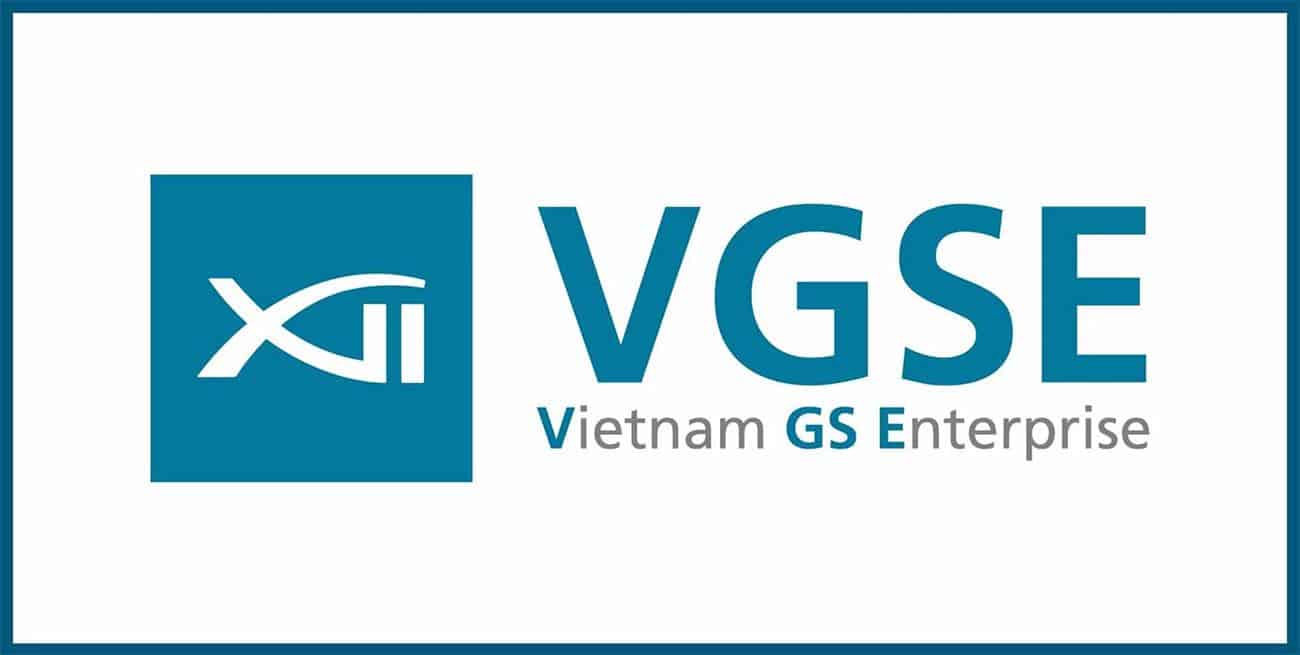 VGSE Vietnam GS Enterprise.